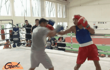 สมาคมมั่นใจกำปั้นไทยซิวตั๋วไปเวิลด์แชมเปี้ยนชิป