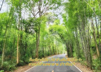 วันเดียวก็เที่ยวได้ ค้างคืนฟินยิ่งกว่า สายมูก็ห้ามพลาด ณ ปราจีนบุรี