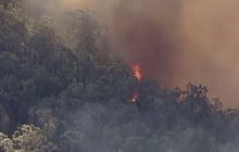 ออสเตรเลียแจ้งเตือนฉุกเฉินเหตุไฟป่า