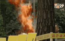 ผู้ประท้วงชาวเกาหลีใต้จุดไฟเผาตัวเอง