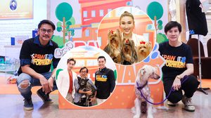 “นัททิว-กระติ๊บ-เชน-เวฟ” ชวนคนไทยเลี้ยงน้องหมาอย่างใส่ใจ แก้ไขปัญหาสุนัขจรจัด