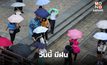 สภาพอากาศวันนี้ มีฝน / ระวังฝนตกหนักในหลายจังหวัด