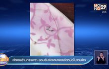เจ้าของร้านกระเพรา ยอมรับผิดเศษฝอยขัดหม้อในจานข้าว
