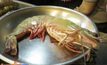 ตรวจร้านอาหารหัวหินหลังมีนักเขียนโพสต์อ้างขายแพง