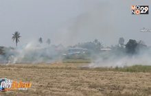 คาด PM2.5 กระทบเศรษฐกิจ 700-800 ล้านบาท