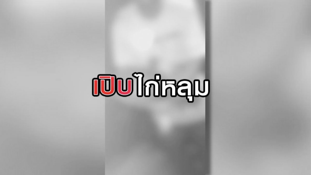 เปิบไก่หลุม 11-08-63