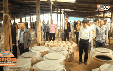 ตรวจสอบโรงงานปลาร้า จ.กาฬสินธุ์