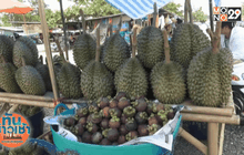 อากาศร้อนจัดดันผลไม้ระยองราคาพุ่ง