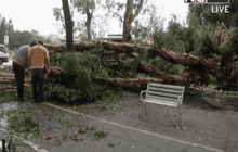 ไต้หวันดับ 2 ราย สังเวยไต้ฝุ่นตู้เจวียน