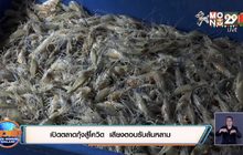 เปิดตลาดกุ้งสู้โควิค  เสียงตอบรับล้นหลาม