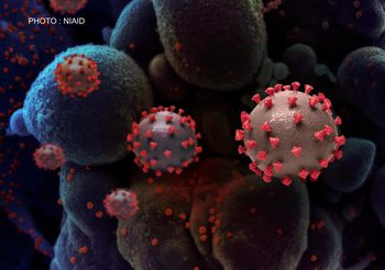 1 ปีโควิด-19 ในไทย จาก 1 ถึงหมื่นราย