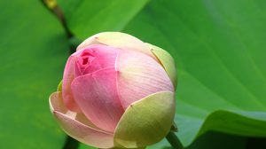 ปฏิทินวันพระ 2561 เดือนกุมภาพันธ์