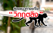 คุยครบกับพบเอก : ส่องแนวทางแก้ไข “วิกฤตลิง”