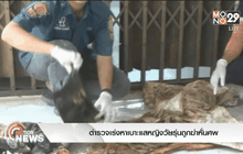 ตำรวจเร่งหาเบาะแสหญิงวัยรุ่นถูกฆ่าหั่นศพ