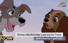 Disney เตรียมรีเมคการ์ตูน Lady and the Tramp สู่ฉบับแสดงโดยเจ้าตูบตัวจริง!