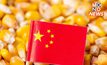 จีนรุกข้าวโพด GMO สนค. แนะผู้ประกอบการสินค้าเกษตรเร่งปรับตัว