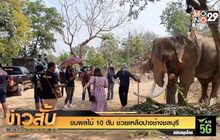 ขนผลไม้ 10 ตัน ช่วยเหลือปางช้างชลบุรี