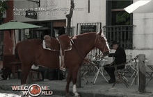 อาร์เจนตินาฉลองวันคาวบอย