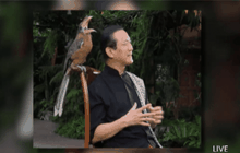 ตรวจสอบนกเงือกในบ้านวิกรม