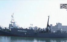 ญี่ปุ่นส่งเรือออกล่าวาฬในแอนตาร์กติก