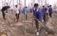 จีนเปลี่ยนทะเลทรายกลายเป็นเมืองอุดมสมบูรณ์