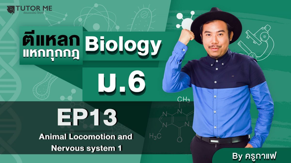 EP 13 Animal Locomotion and Nervous system 1