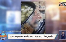 อวสานหมูกระทะ! สาวช็อกเจอ “แมลงสาบ” ในหมูแช่แข็ง