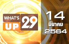 What’s up 29 14-03-64