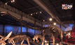 Grand Opening: “Dinosaur Planet”