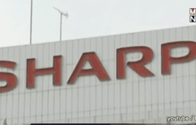 ชาร์ปหารือข้อเสนอของฟ็อกซ์คอนน์