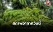 สภาพอากาศวันนี้ อากาศร้อน มีฝนฟ้าคะนอง ลมกระโชกแรง