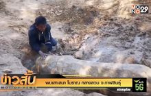 พบเสาเสมาโบราณ กลางสวน จ.กาฬสินธุ์