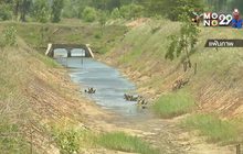 แล้งกระทบพื้นที่เพาะปลูก 2.67 ล้านไร่