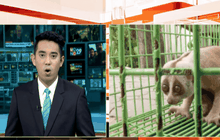 ทีมปราบปรามค้าสัตว์ป่าผ่านสังคมออนไลน์