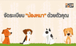 จัดระเบียบ “น้องหมา” ด้วยตัวคุณ