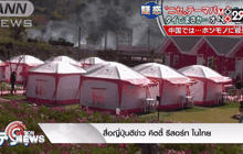 สื่อญี่ปุ่นตีข่าว คิตตี้ รีสอร์ท ในไทย