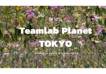 พาชมพิพิธภัณฑ์ศิลปะดิจิทัล Teamlab Planets TOKYO จุดเช็คอินแห่งใหม่​ ณ กรุงโตเกียว