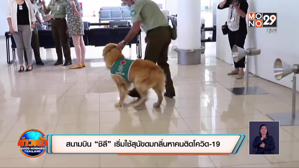 สนามบิน “ชิลี” เริ่มใช้สุนัขดมกลิ่นหาคนติดโควิด-19