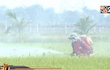 รมช.สธ.ย้ำแบน 3 สารเคมี เพราะต้องดูแลสุขภาพคนไทย