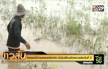 ฝนตกน้ำท่วมหลายจังหวัด -น้ำล้นเขื่อนลำพระเพลิงวันที่2