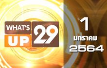 What’s up 29 01-01-64