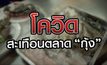 โควิด สะเทือนตลาด “กุ้ง” 25-12-63