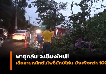 พายุถล่ม!! 2 อำเภอเสียหายหนัก ต้นโพธิ์ยักษ์โค่น บ้านพังกว่า 100 หลัง