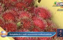 ขึ้นบัญชีเฝ้าระวัง 9 ผลไม้ ลอบขนจากประเทศเพื่อนบ้านส่งไปจีน