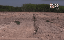 ผลกระทบจากภัยแล้ง