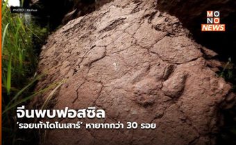 จีนพบฟอสซิล ‘รอยเท้าไดโนเสาร์’ หายากกว่า 30 รอย