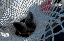 พบลูกสิงโตทะเลกลางร้านอาหารในสหรัฐฯ