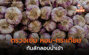 พาณิชย์ตรวจเข้ม ป้องกันลักลอบนำเข้ากระเทียม-หอมหัวใหญ่จากตปท.