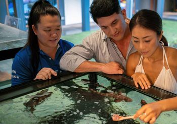 แมริออท อินเตอร์เนชั่นแนล เดินหน้าจัดงานกอล์ฟการกุศลครั้งยิ่งใหญ่ในประเทศไทย ระดมทุนเพื่อขับเคลื่อนการเปลี่ยนแปลงเชิงบวก