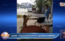 สุดน่ารัก ! เจ้าตูบยกมือไหว้ขอไก่ทอด หนุ่มน้อยใจดี ยกให้ทั้งห่อ